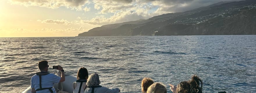 Funchal : Coucher de soleil sur l'eau en bateau semi-rigide +opt Dolphin/Whale
