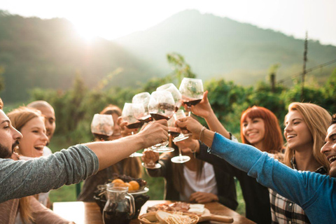 The Epic Waiheke Sundowner, Food And Wine Trip