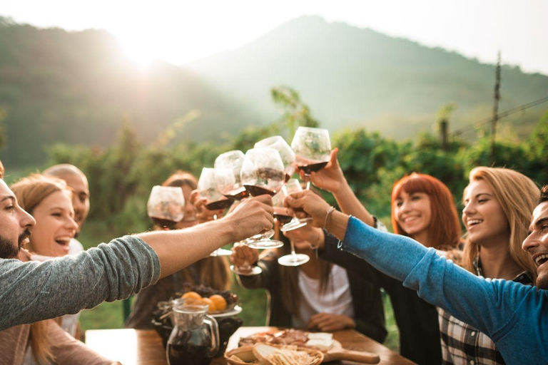 The Epic Waiheke Sundowner, Food And Wine Trip