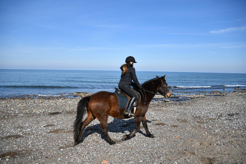 Paphos: Sea Caves Intermediate Horseback Ride