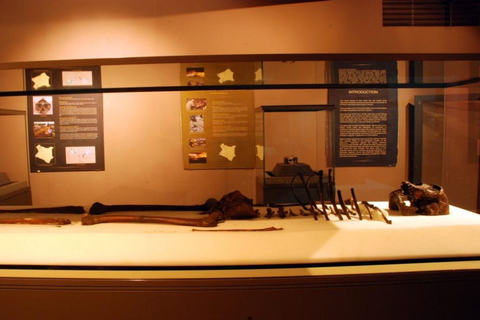 Nairobi: National Museum & Snake Park Guided Tour