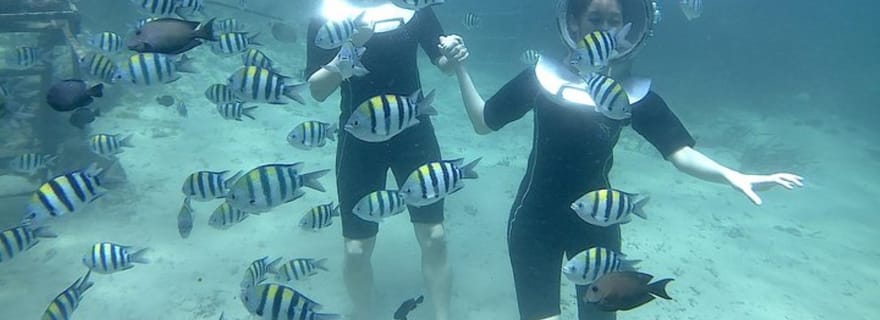 Jet ski et Sea Walker