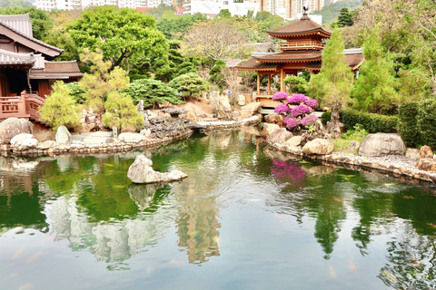 Hong Kong: Kowloon Temples & Markets Small Group Tour Small Group Tour