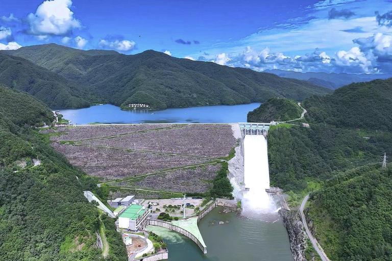 Chuncheon: Temple, Lake Cruise & Forest Escape