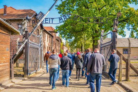 Da Cracovia: Tour di Auschwitz-Birkenau con trasporto di un giornoDal centro città: Tour con punto d'incontro e pranzo