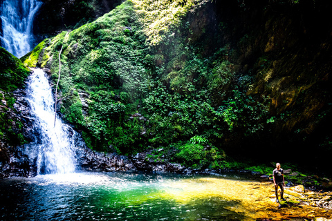 TREKKING DI 6 GIORNI CON I PRIMATI DEL RUANDA