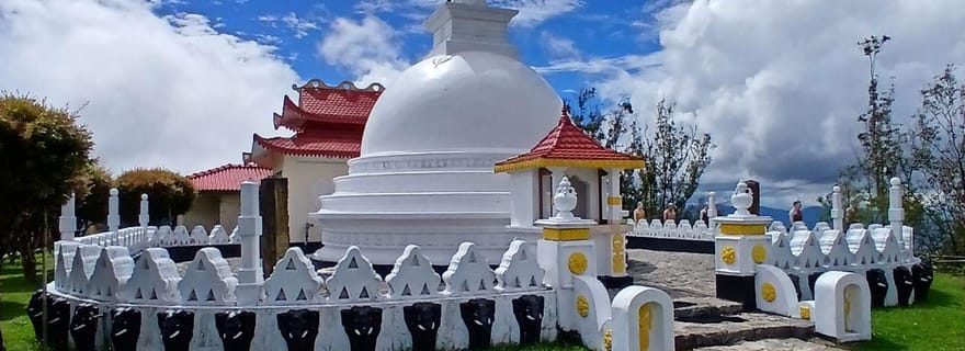 Kandy : visite de Nuwara Eliya et de la gare d'Ambewela