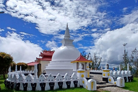 Kandy: Nuwara Eliya and Ambewela Train Station Tour