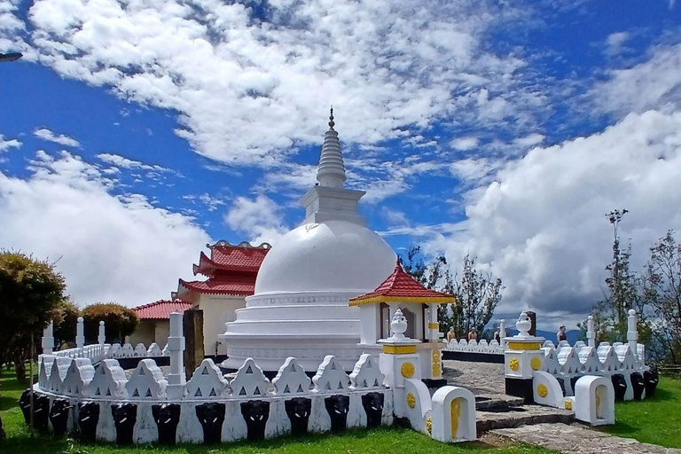 Kandy: Nuwara Eliya and Ambewela Train Station Tour