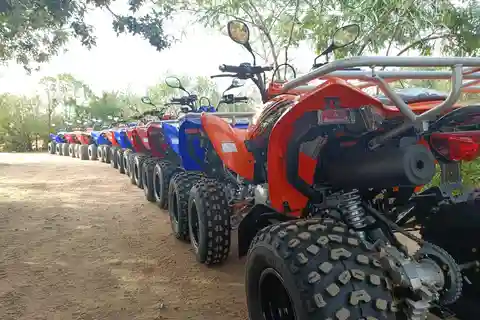 Sortie en Quad à Hammamet