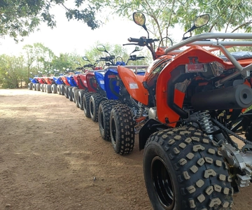 Quad biking in Hammamet