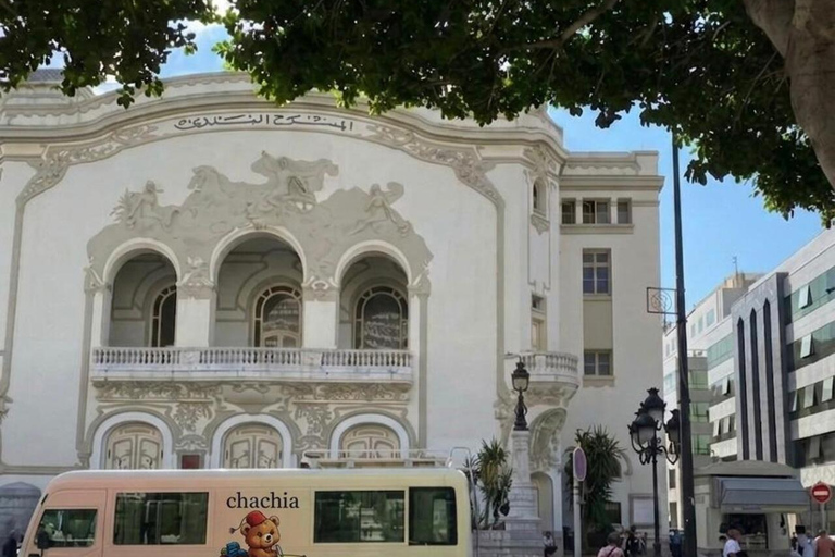 Tunis: Group guided visit, Carthage, Sidi Bou Said + Pickup from the HARBOR/HAM Pick-up from Hammamet/Nabeul/Yassmine Hammamet