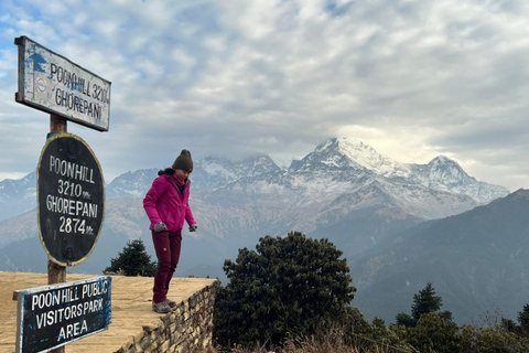 De Pokhara: Caminhada guiada de 5 dias por Poon Hill, Mulde Hill e Dobato