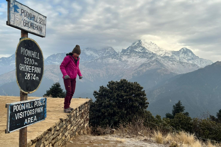 De Pokhara: Caminhada guiada de 5 dias por Poon Hill, Mulde Hill e Dobato