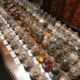 VENEDIG, WEIHRAUCH UND MYRRHE! EINE REISE DURCH DEN AROMAHANDEL