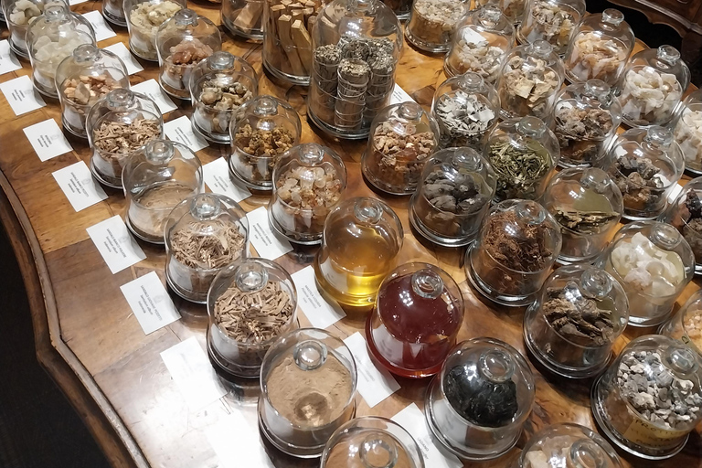 VENICE, FRANKINCENSE AND MYRRH! A JOURNEY ON AROMATICS TRADE