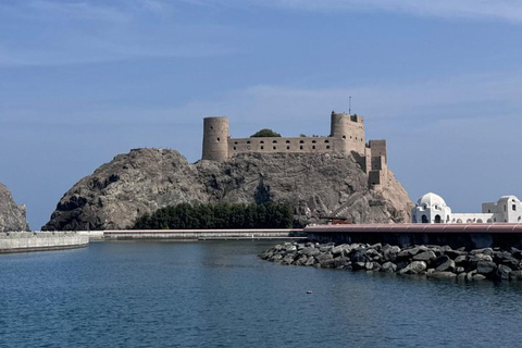 Muscat: City Highlights Tour with Grand Mosque & Souq Shared