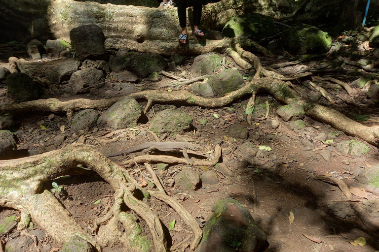 Cat Tien National Park with Crocodile Lake