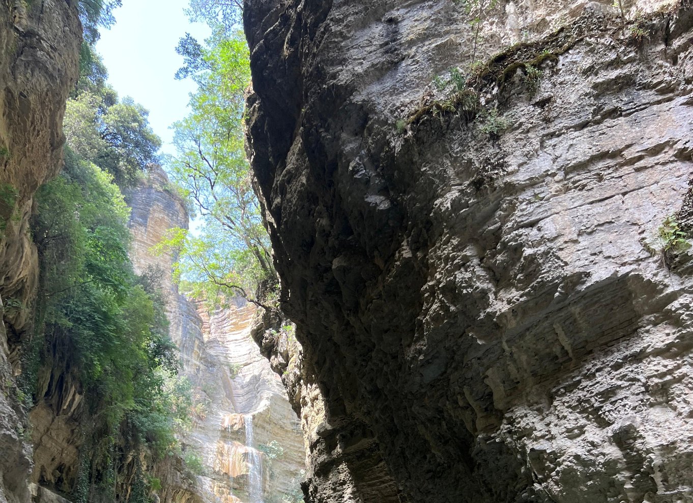 Çorovoda: Osumi Canyon Rafting/flodtubing-tur