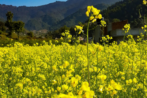 Katmandú: excursión de un día a Chitlang, cata de vinos y breve caminataÚnete (grupo de 2 o más personas)