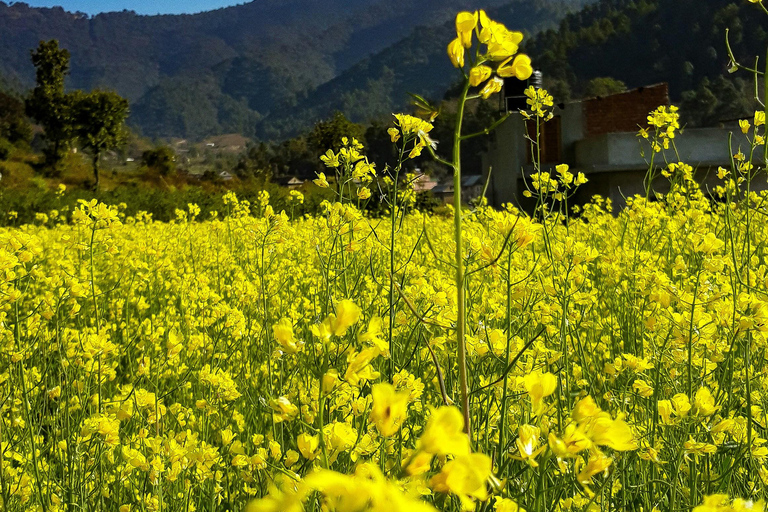 Katmandú: excursión de un día a Chitlang, cata de vinos y breve caminataÚnete (grupo de 2 o más personas)
