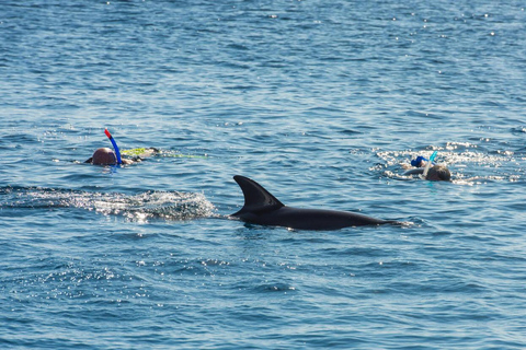 Hurghada: Excursión en barco a la Casa de los Delfines con snorkel