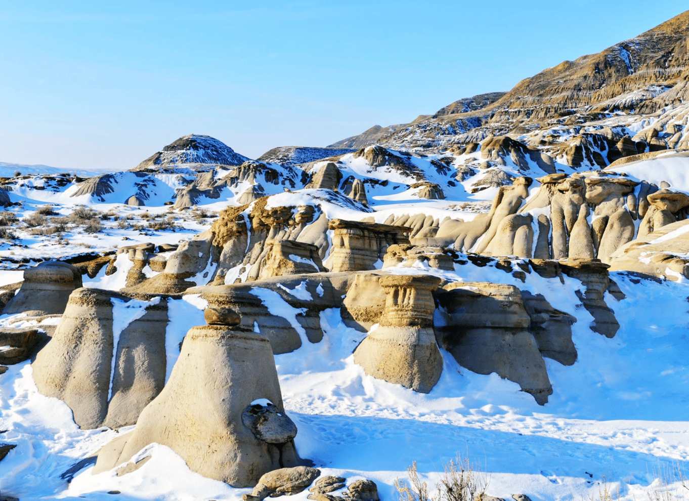 Badlands-tur: Drumheller med museum, hoodoos og dinosaurer