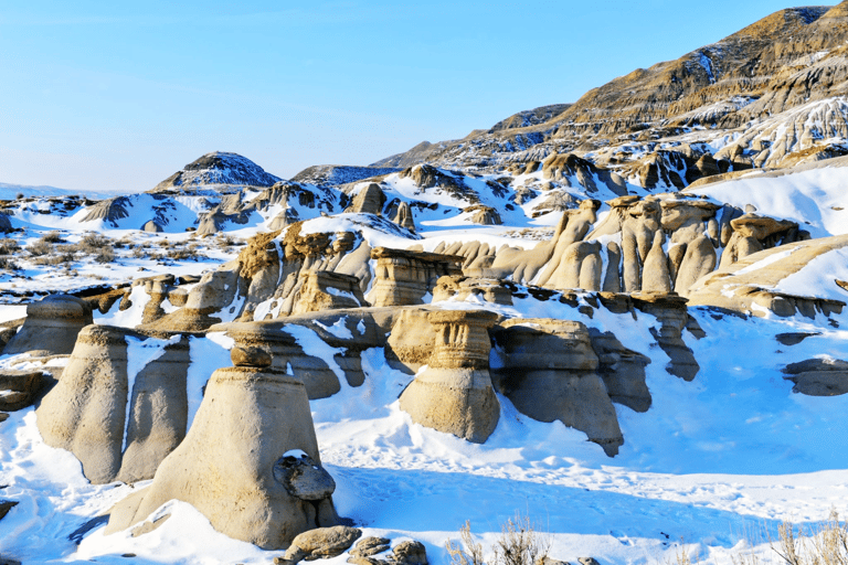 Badlands Tour: Drumheller with Museum, Hoodoos & Dinosaurs Booking Option for Summer 2026