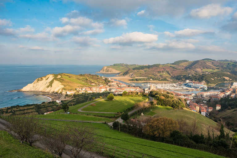 San Sebastián rural culture: vineyard visit and farm hiking