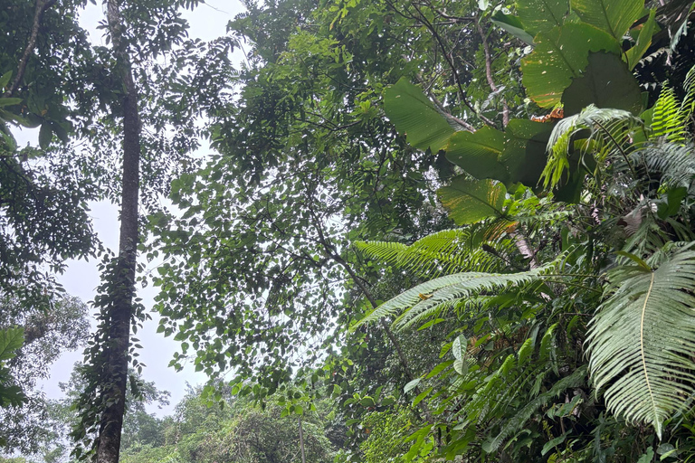 Private Balinese Body and Soul Cleansing Journey