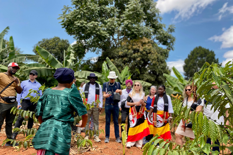 Ssese Islands 4-Day Cultural Tour and beer-making experience