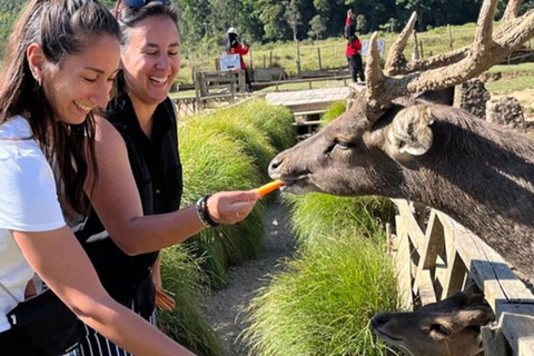 Bandung: White Crater, Scenic Tea Plantations & Hot Spring Open Tour: White Crater & Surroundings areas. with Tickets