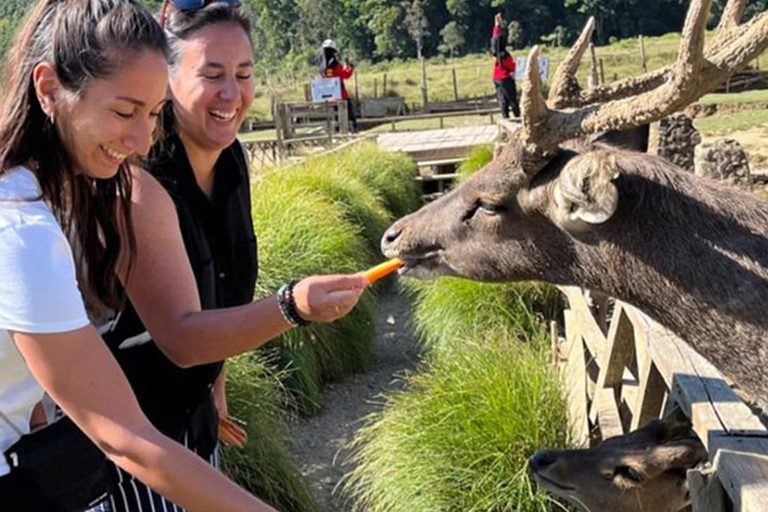 Bandung: White Crater, Scenic Tea Plantations & Hot Spring Open Tour: White Crater & Surroundings areas. with Tickets