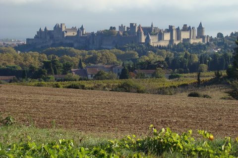 Carcasona y País Cátaro: Alet le Bains, Camon, Mirepoix