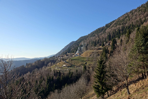 Bled: Guided Jelovica Plateau E-Bike Tour with Views