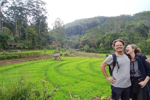 ELLA Lipton Seat Tea Test & Pluck 9Arch, Waterfalls, & Food Lipton's Seat, Little Adam Peak, 9 Arch, Ravana Waterfalls