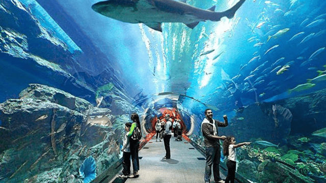 Pattaya: Underwater World Pattaya Aquarium Ticket