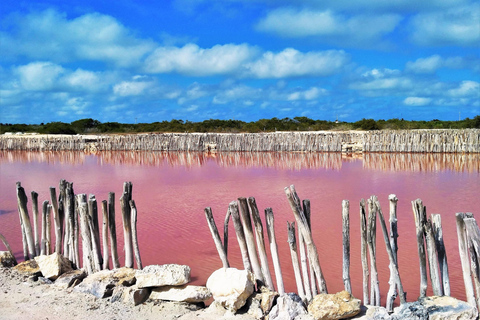 Motul, Hacienda, Xcambo, Pink Salt Mine & Progreso Day Trip