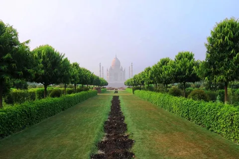 Da Delhi: Tour privato del Taj Mahal e del Forte di Agra all'alba