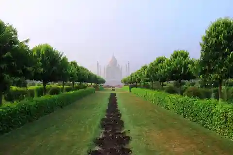 From Delhi: Taj Mahal and Agra Fort Private Sunrise Tour