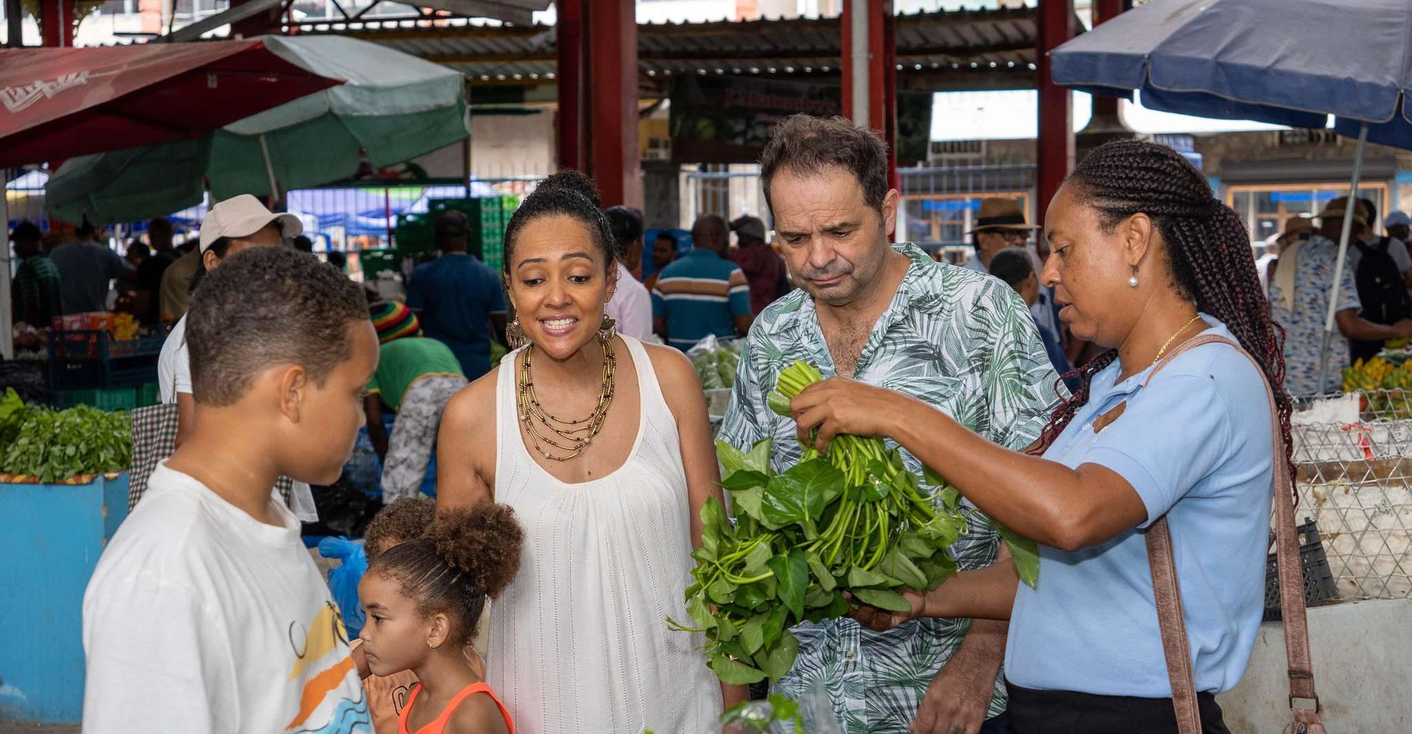 Mahé, Wild South Discovery Trip with Local Lunch - Housity