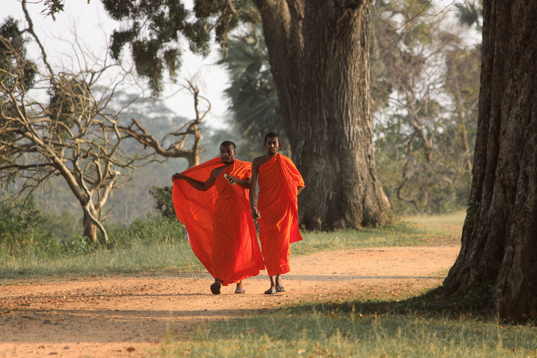 Tour del Triangolo Culturale dello Sri Lanka di 10 giorni+alloggio a 5 stelle