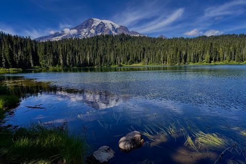 Mount Rainier National Park Small-Group DayTour from Seattle