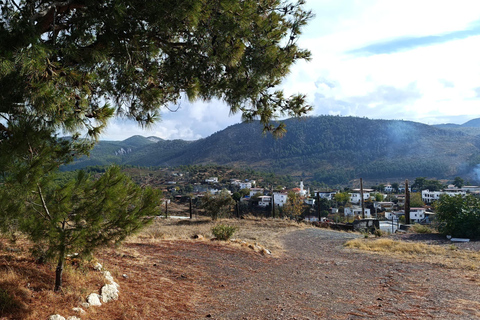 Rustic cooking day at Bodrum country home