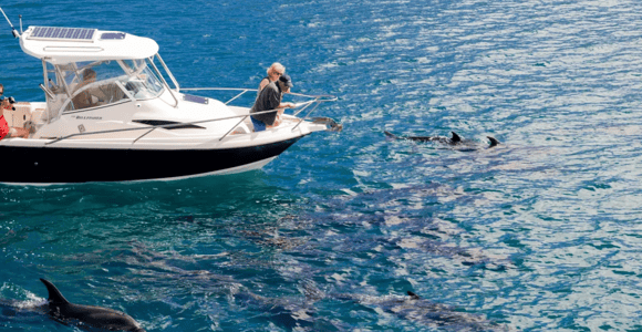 Sharm El-Sheikh: Pvt Speedboat to Tiran Island Snorkel/Dive
