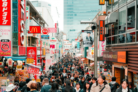 Tokyo: Private Luxury Day Tour with Hotel Pickup and DropOff