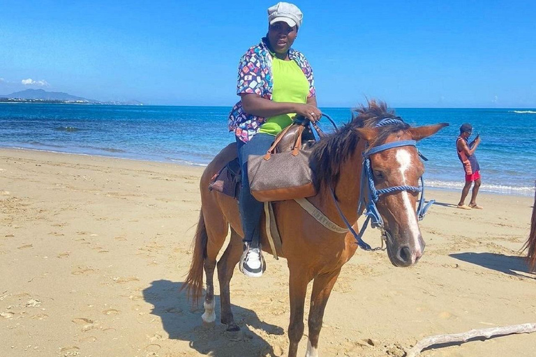 Damajagua Waterfalls & Horseback Riding with Lunch