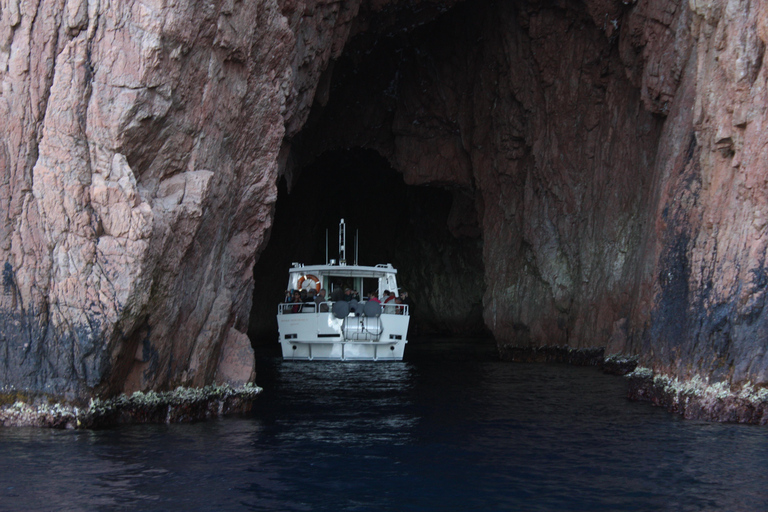 Scandola: visite de la réserve naturelle au départ de Porto (France)