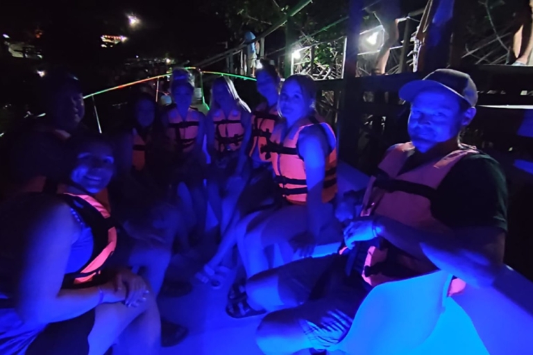 Desde Huatulco:Tour de Liberación de Tortugas y Bioluminiscencia
