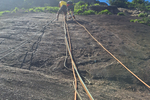 Rio de Janeiro: Pedra da Gávea - guided hike with best views